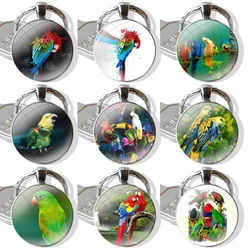 color Ringneck Parrot Art bird paper Keychain Handmade Glass Cabochon Key Ring Holder Pendant Key Chains