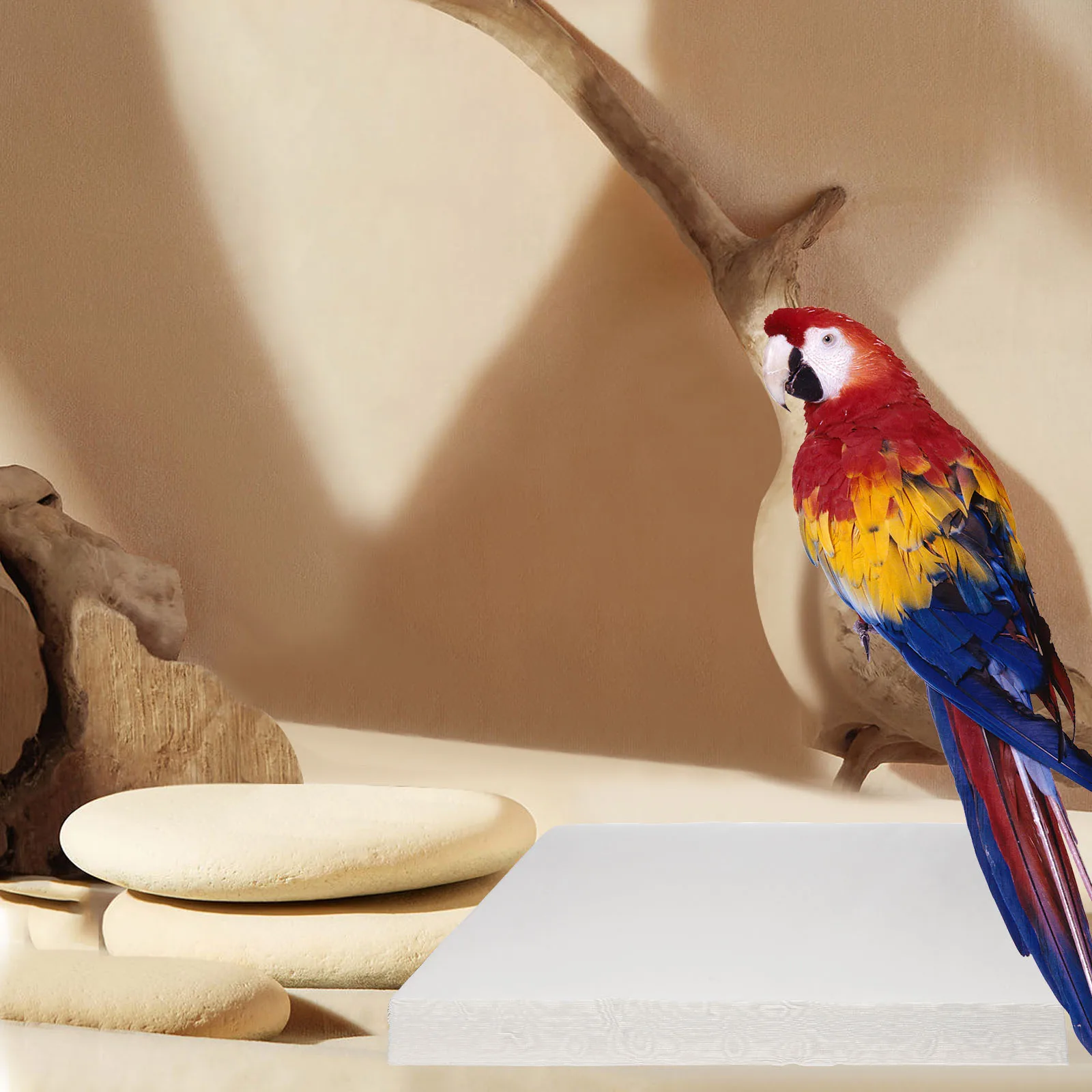 

100 Pcs Water Absorption Tray Bird Cushion Pad 32x32 Cage Paper Liners Soft Disposable Pet Supplies Mat Parrot Supply