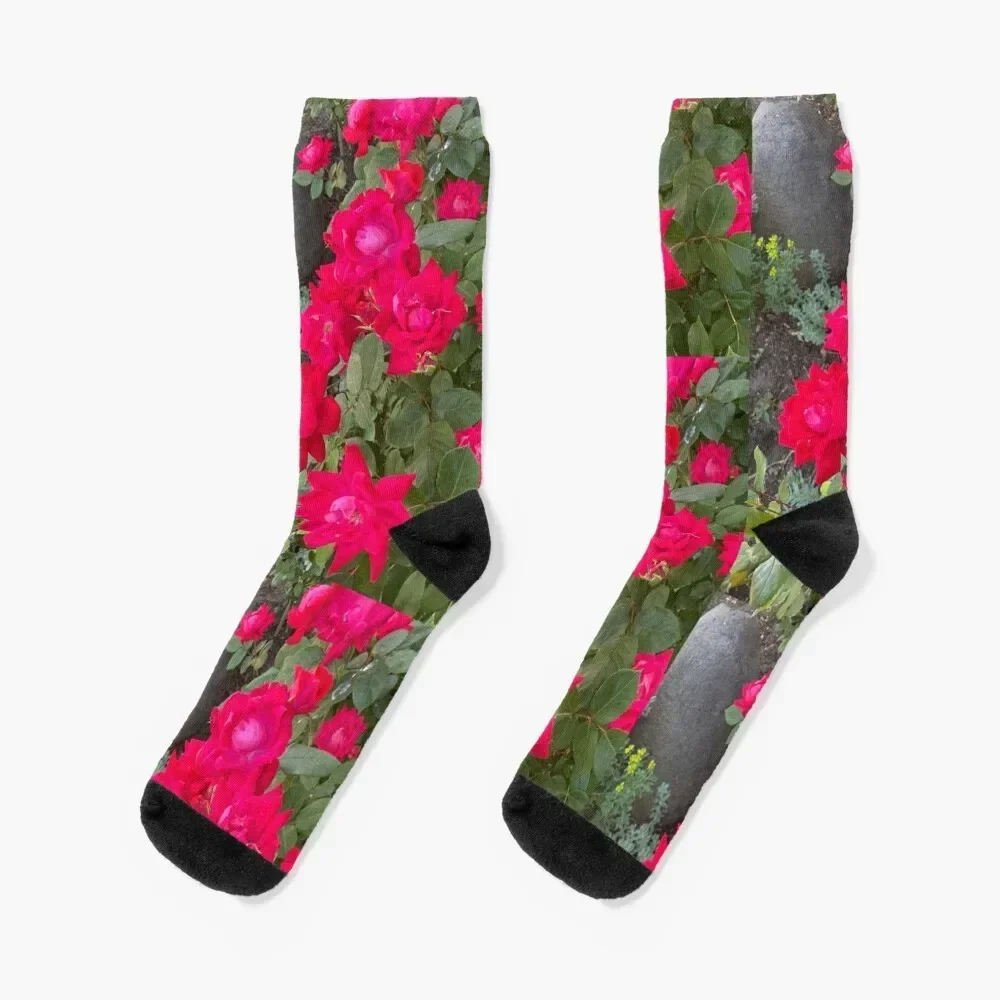 

Hot Pink Roses Socks Stockings loose sport kawaii Designer Man Socks Women's