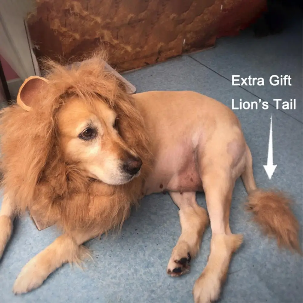 Dog Lion Mane with Ears Adjustable Pet Lion Wig Brown Lion Mane Tail Costume for Medium to Large Dogs 19-28 Inches Neck Size