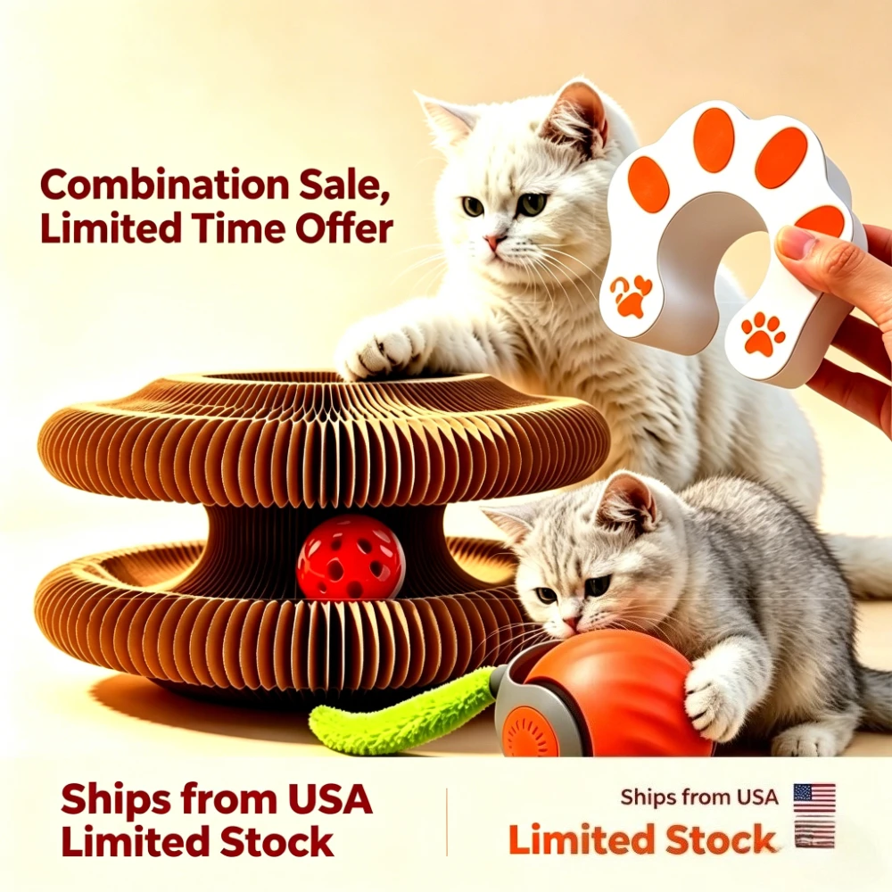 #60 Best Cat Toys to Buy In 2026