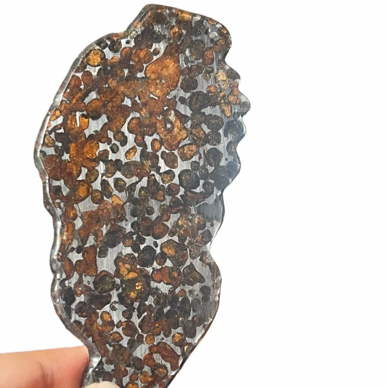 31.1g Sericho Pallastie meteorite slice Olivine Meteorite Natural Specimen Meteorite material Collection - from Kenya -QA822
