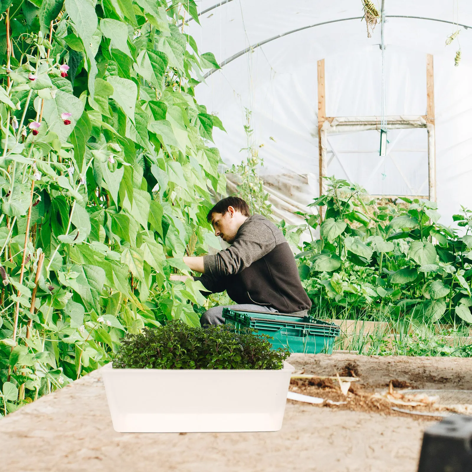 Windowsill Planter Box Rectang - đánh giá và giá Self-Watering Planter