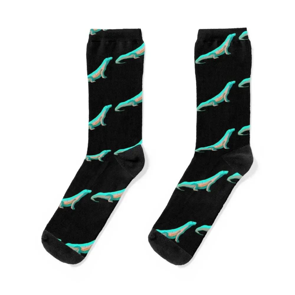 Komodo Dragon tosca illustration Socks cotton aesthetic football cartoon Luxury Woman Socks Men's