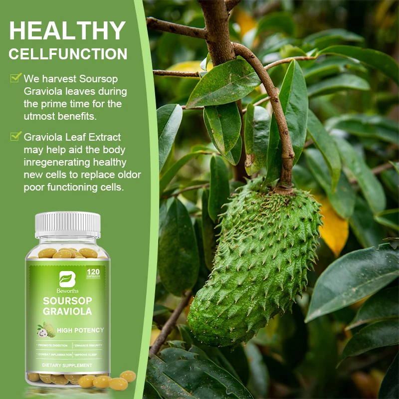 BEWORTHS Soursop Graviola Leaves Capsules for Cell Support,Regeneration,Stress Relief,Immune Enhancement Herbal Plant Extract