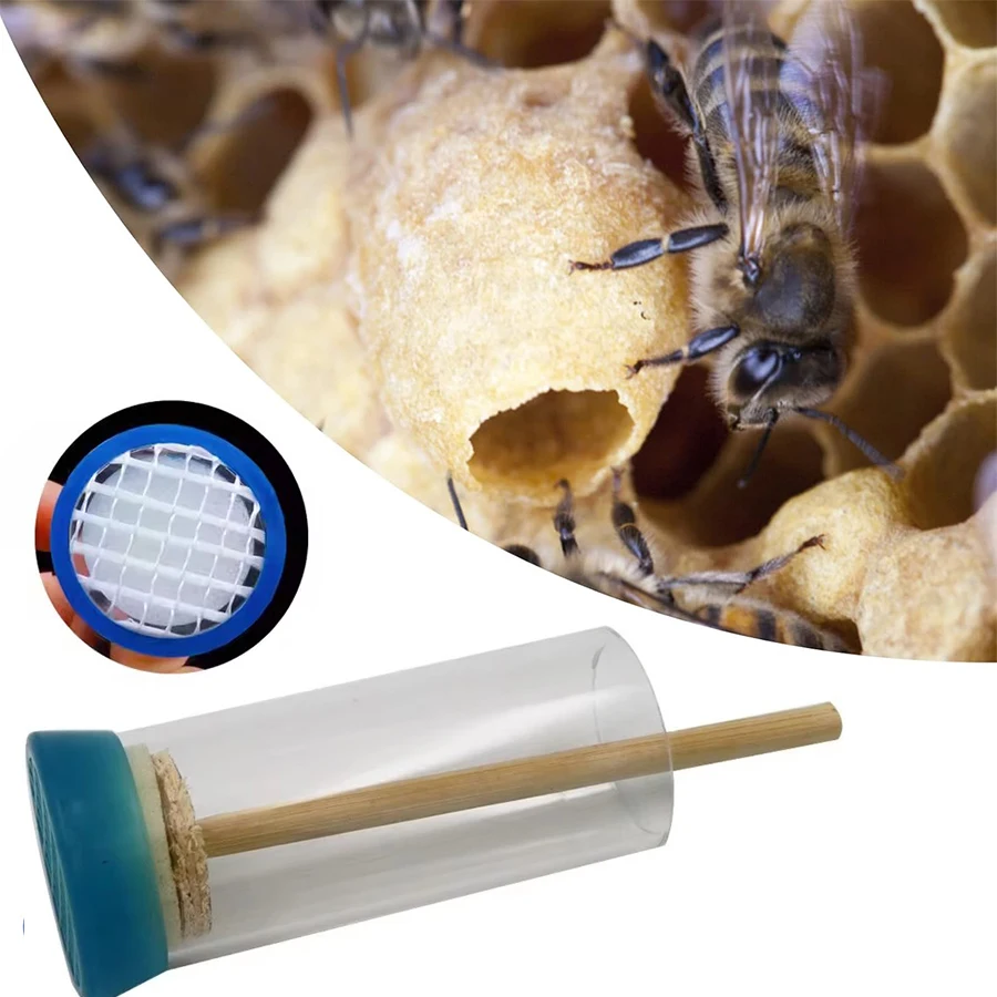 

1Pc Queen Bee Marking Bottle, Queen Bee Marking Cage Bottle Tube with Soft Plunger Beekeeping Tools Beekeeping Bottle