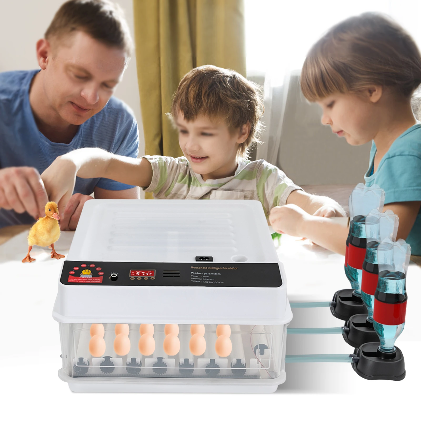 Incubator for Eggs Fully Automatic 38 Eggs 95 Quail Eggs, White