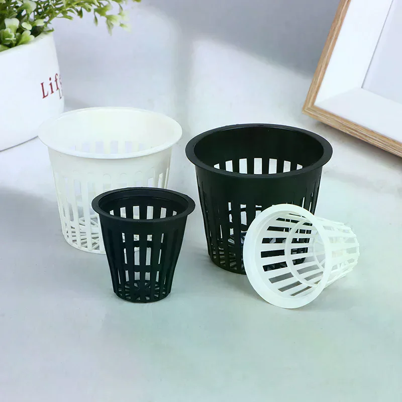 10pc 2 Inch 3 Inch Grow Orchids Hydroponics Cups Planting Mesh Pot Soilless Net Basket Slotted Colonization Container