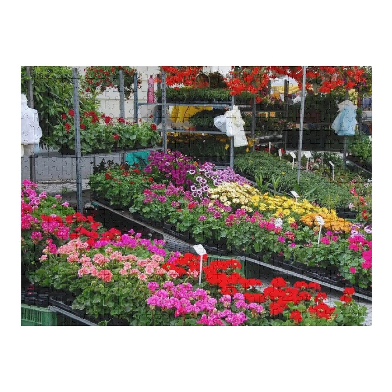 

Flower market in Trnava, Slovakia Jigsaw Puzzle Name Wooden Toy Wood Photo Personalized Puzzle