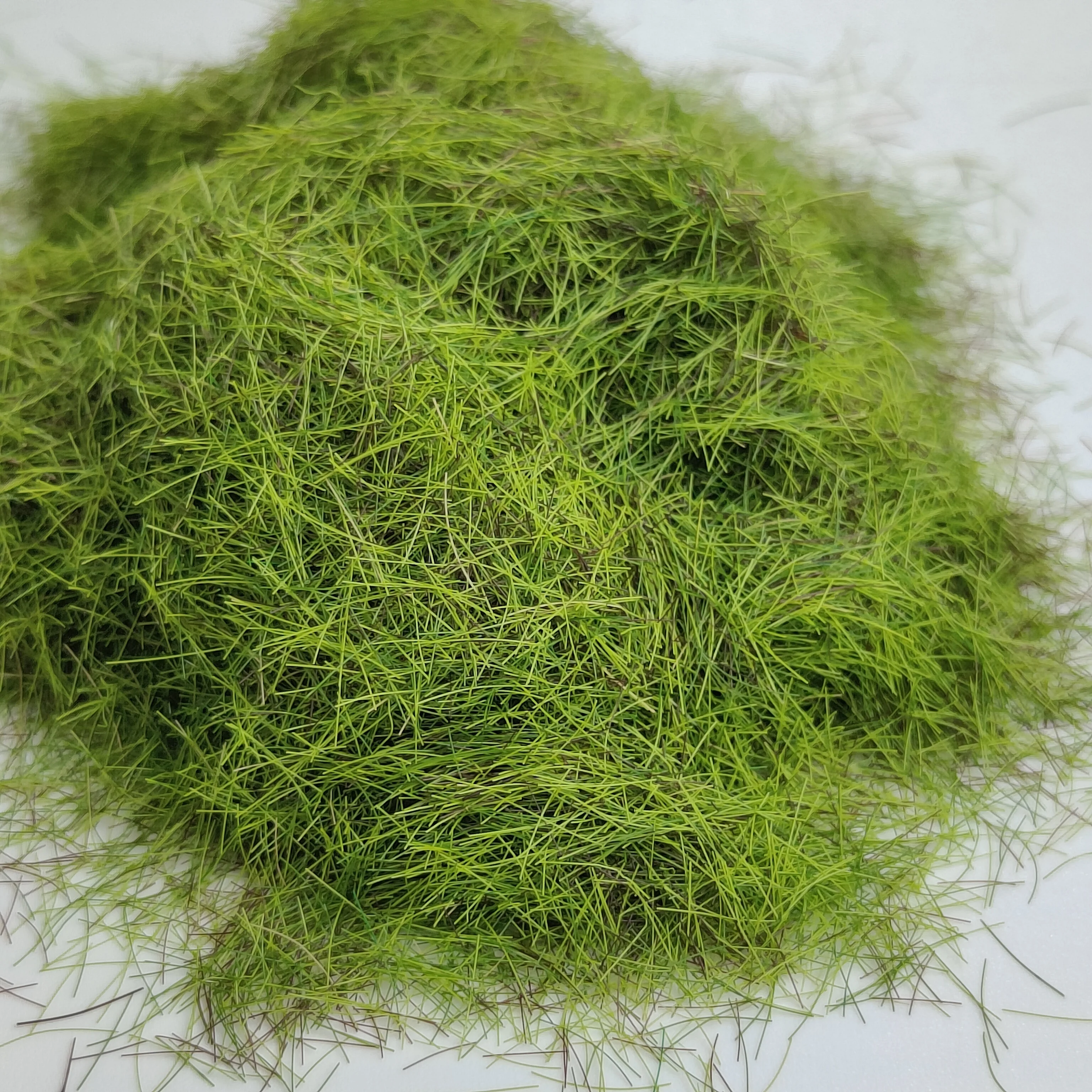 Simulazione 8MM Erba statica in polvere per realizzare kit modello di paesaggio prato Tavolo con sabbia Materiali a terra Accessorio per diorama 30 g/bottiglia