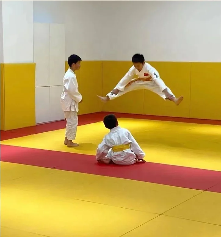 Durable Unisex MMA Judo Mat Exercise Grappling Martial Boxing Gymnastics Featuring Taekwondo Karate Kung Fu Jiu-Jitsu Samurai