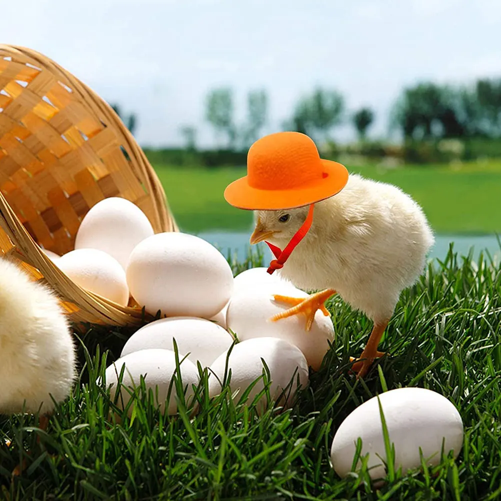 

8 Pcs Adorable Pet Chicken Hat Hats Parrot Accessories for Chickens to Wear
