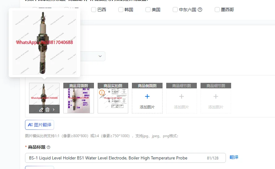 BS-1 Liquid Level Holder BS1 Water Level Electrode, Boiler High Temperature Probe