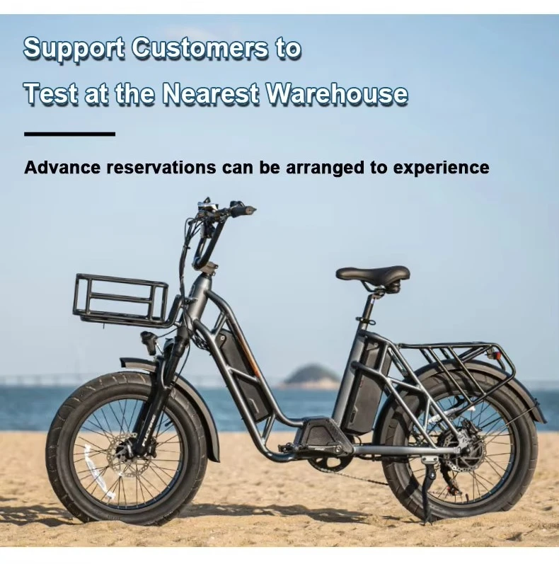 

Factory OEM/ODM Throttle Dirt Li-ion Battery Mountain Electric Bicycle Fat Tires E-Bike Cargo 20 Inch 48v Electric Bikes