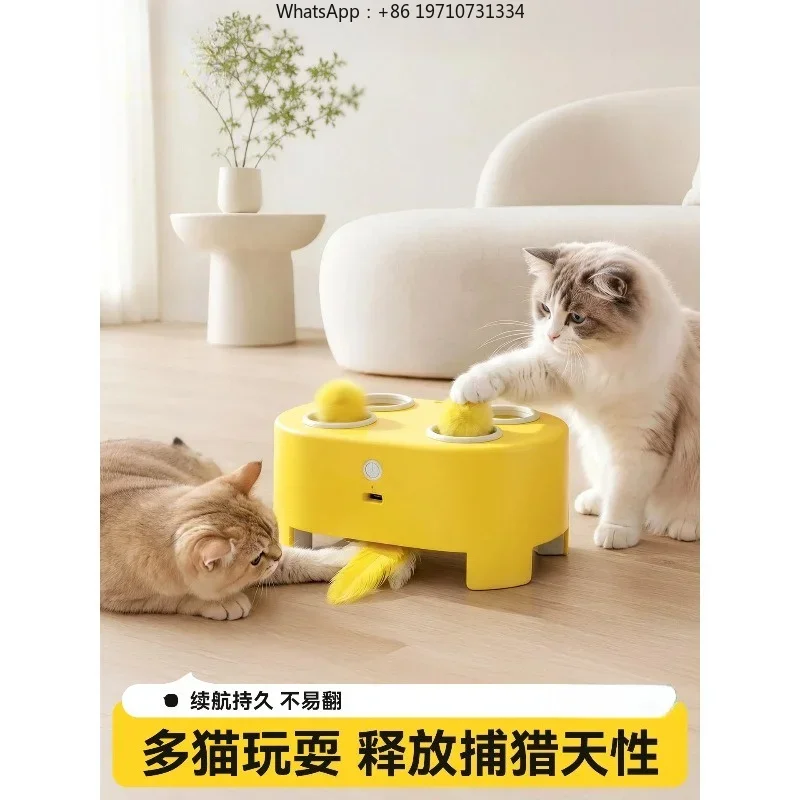 Cat Toy Multi-functional Whack-a-mole Toy Up and Down Feather Cat Teaser