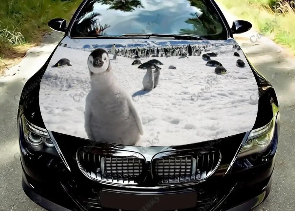 

Penguin Winter Animal Car Hood Protect Vinly Wrap Sticker Decal Auto Accessories Decoration Engine Cover for Off-road Pickup