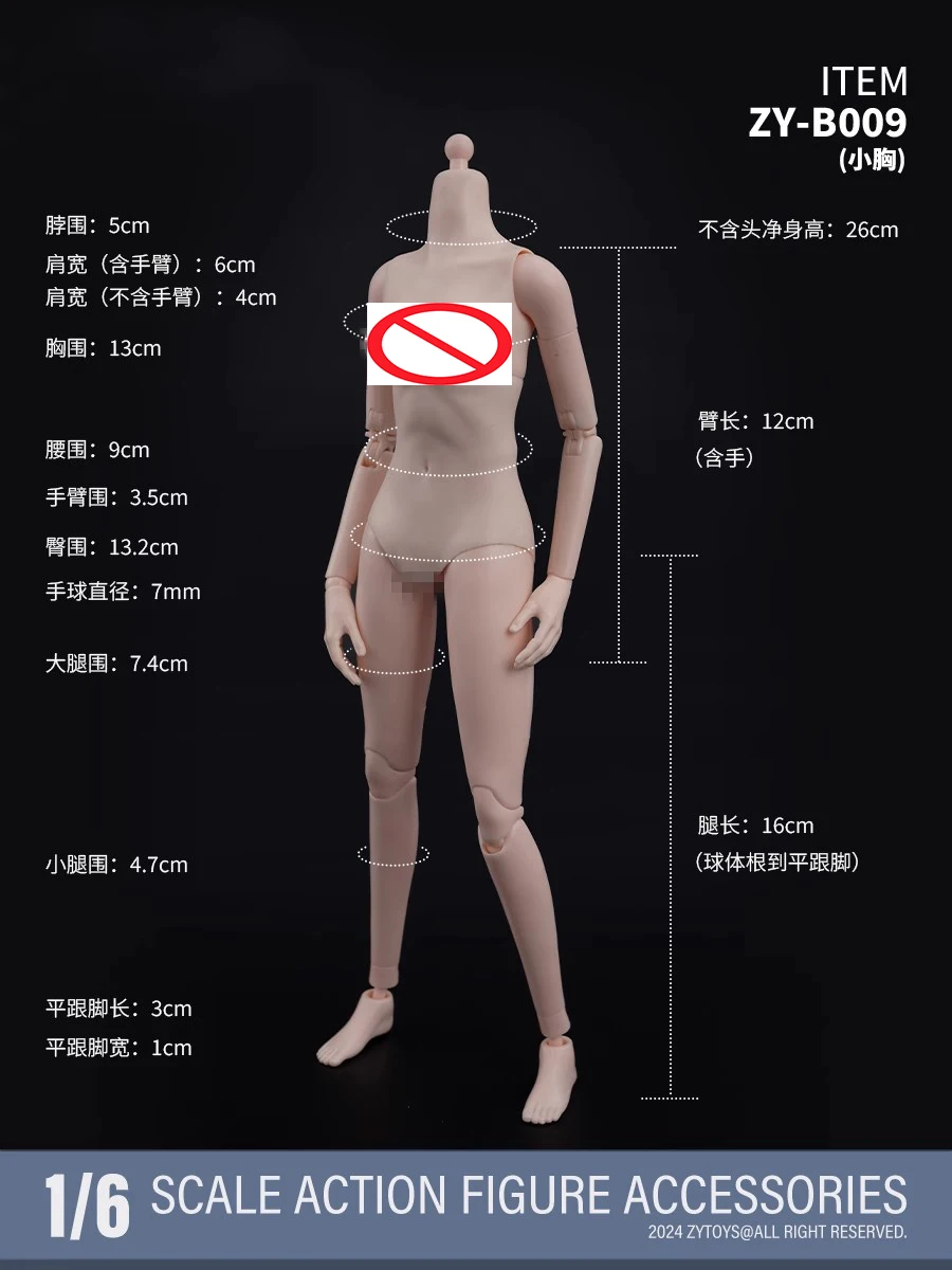 ZYTOYS ZY-B008 ZY-B009 1/6 مقياس أنثى الآسيوية شاحب الجلد سوبر مرنة الجسم نموذج صغير الأوسط الثدي 12 "عمل الشكل لعبة