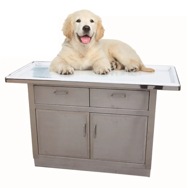 

Veterinary Clinic equipment Stainless Steel veterinary procedure table clinic exam treatment table