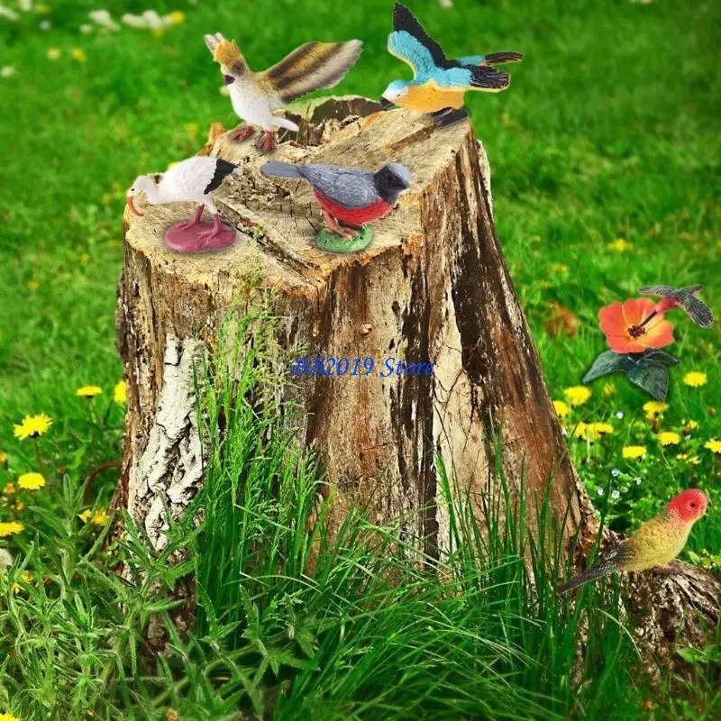 Q0KB Simulation Bir… - image