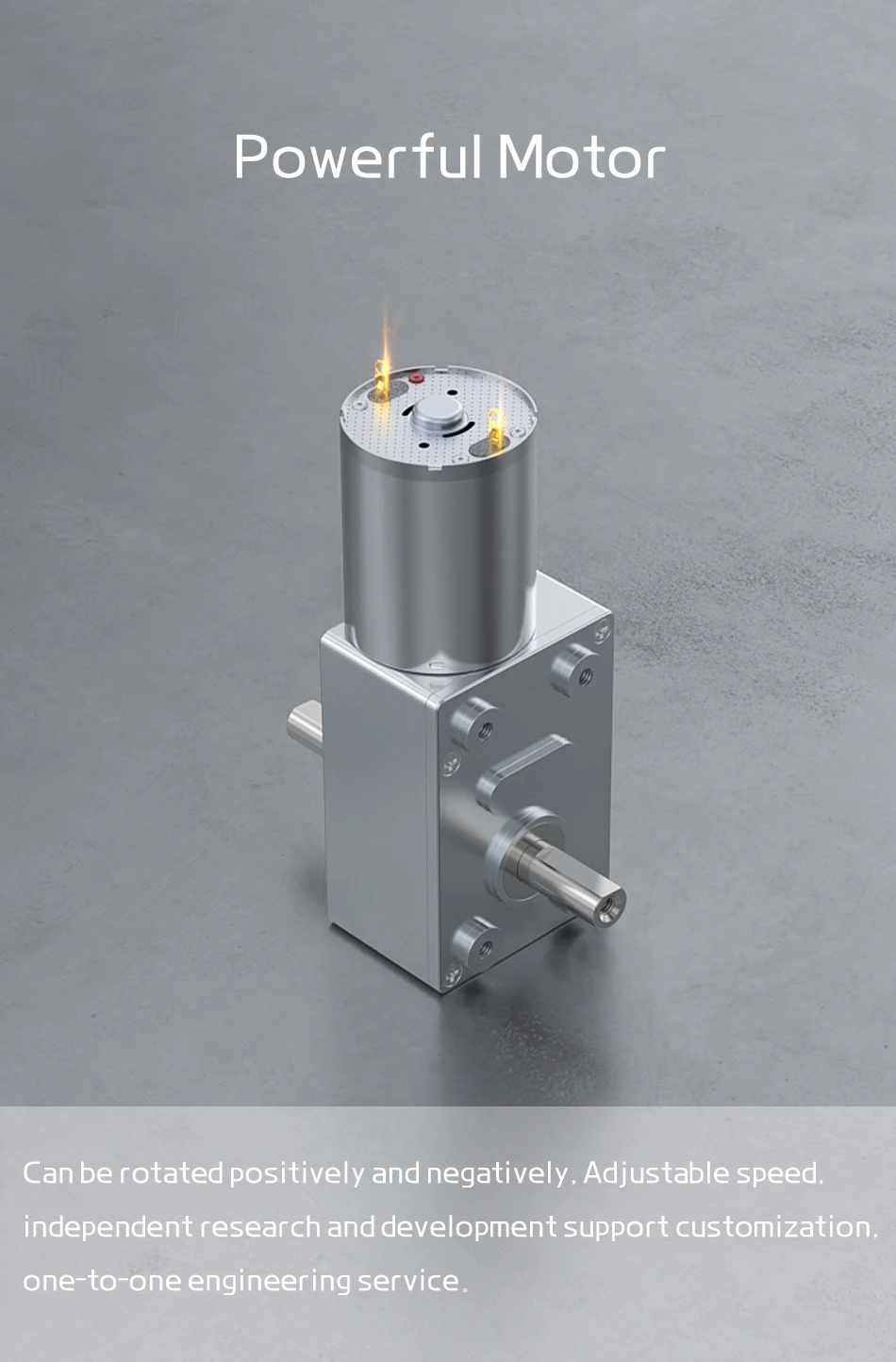 Doppelwellen-Turbo-Schneckengetriebemotor mit Hohem Drehmoment JGY-370 6V 12V 24V DC Elektromotor mit Umkehrfunktion und Selbstverriegelung, Doppelausgangswelle – Detail 12