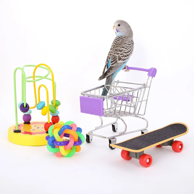 Bird Training Toy Supplies Basketball Stand Lovebird Shopping Cart Bird Toy Shoes Canary Skateboard Parrot Toy Accessories