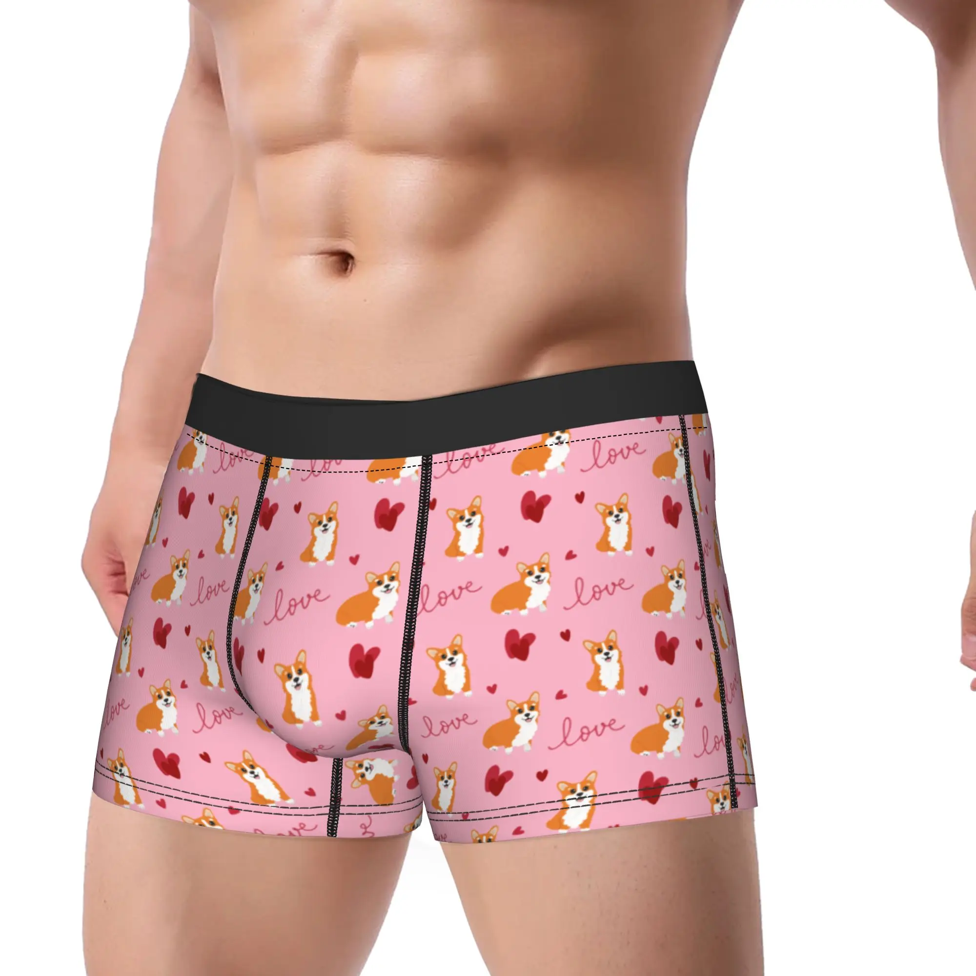 Cute Corgi And Heart Animal Cartoon Underwear  Printed Boxershorts Trenky Men's Panties Comfortable Boxer Brief Birthday Gift