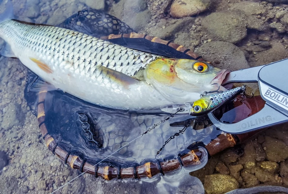 1Pcs Schwimmende Angeln Lockt Minnow Harten Köder 40mm 3g Hochfrequenz Schaukel Wobbler Crankbait Karpfen Barsch stecker Angelgerät – Detail 10