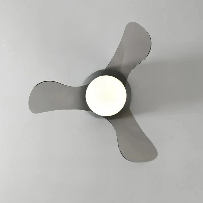 DC Frequency Conversion Stepless Dimming Small Ceiling Fan Light 100V-240V22 Inch Ultra-thin Ceiling