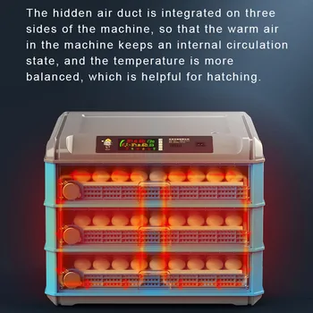 24-64 Egg Incubator Fully Automatic Digital Incubator