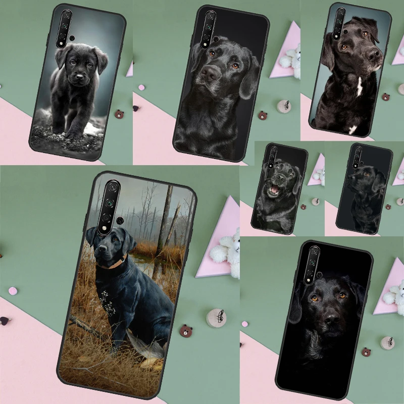 Labrador Puppy Dog … - image