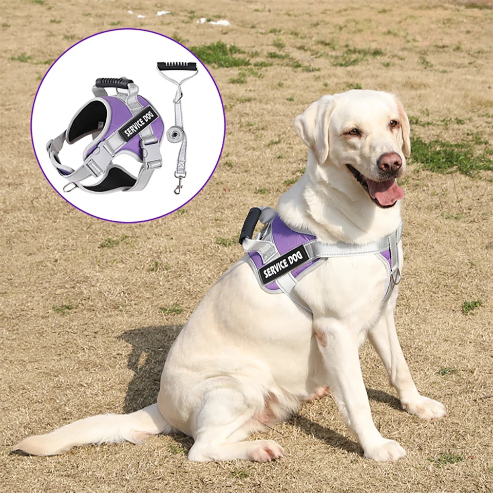 Thumbnail 2 - #42 New Dog Car Safety Harnesses Arrivals