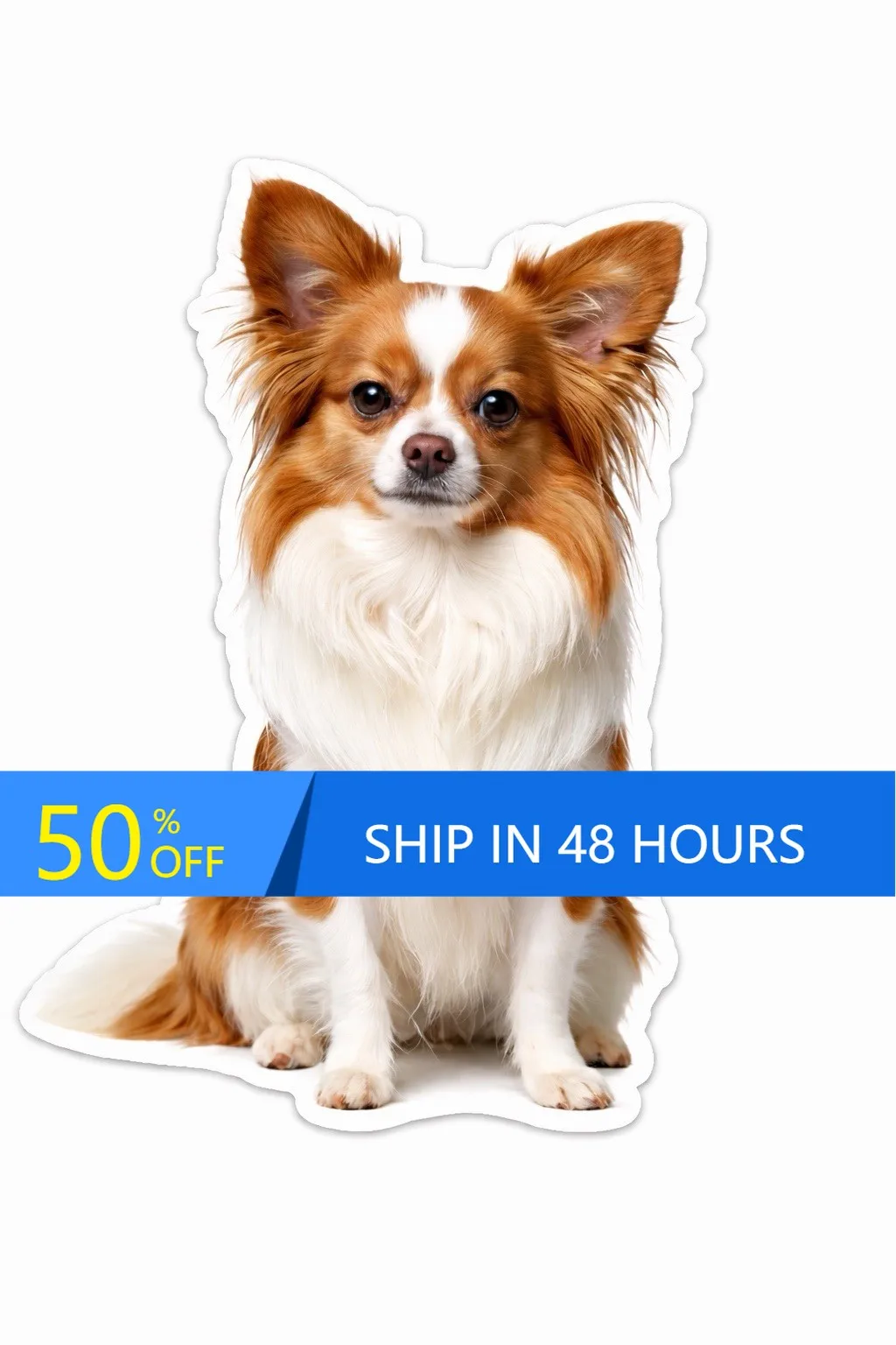 

Chihuahua Dog Vintage Boat Motor Home Walls Laptop Accessory Cute Retro Unique Trendy Funny