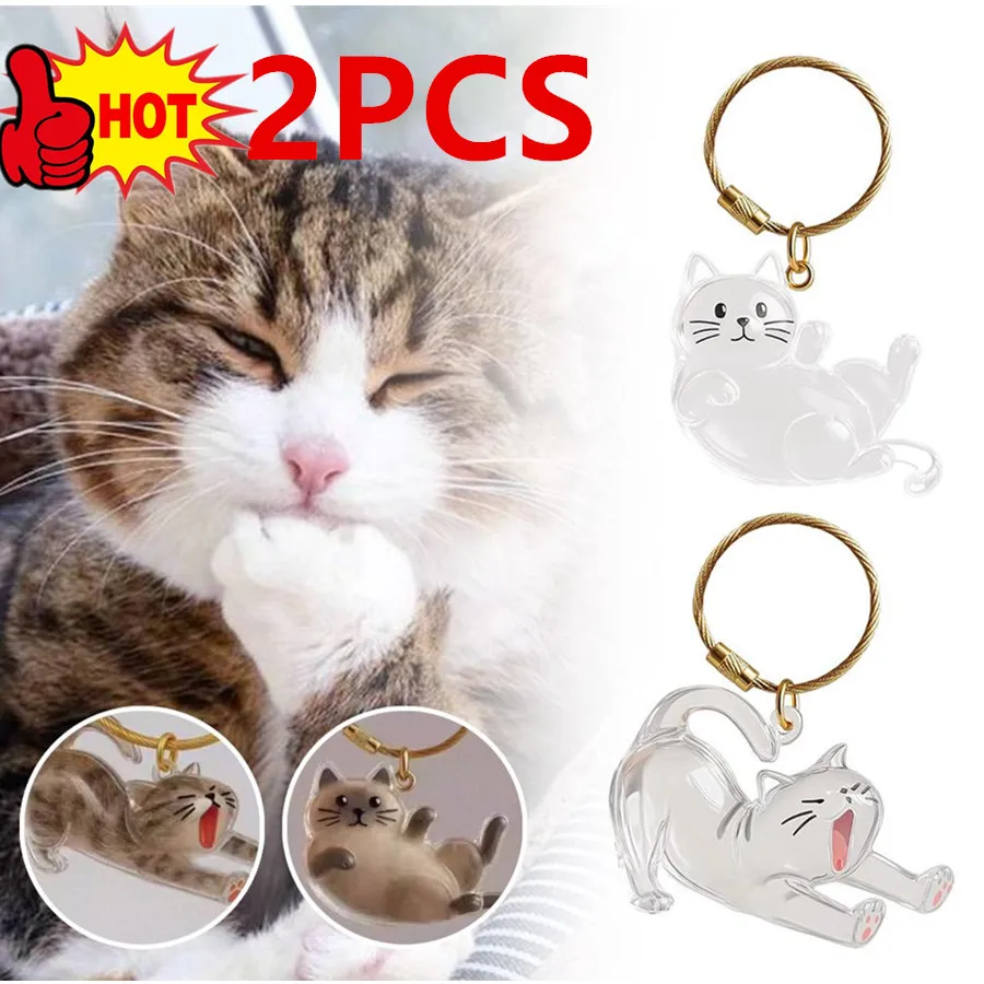 

Прозрачные капсулы для кошачьей шерсти, подвеска, коробка для хранения меха котенка, сувенирные брелки для ключей, сиамские милые собачьи шерсти, брелок для ключей