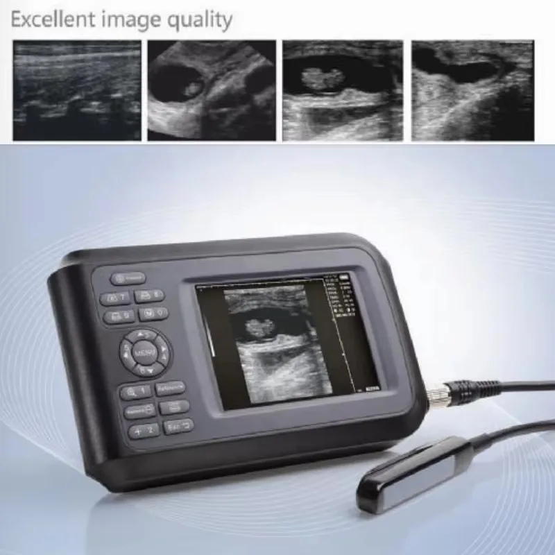 Portatil Pig Pregnancy Veterinary Ultrasound Machine Horse Rectal Probe Scan Vet BW Handheld Ultrasound Scanner