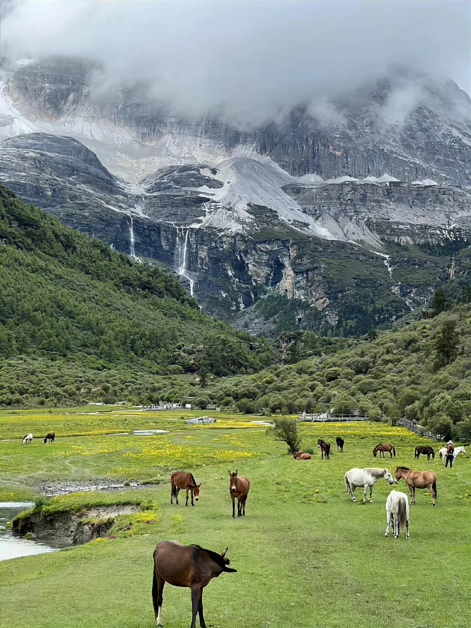 

Stereo Android 14 For Jeep Wrangler 2010-2017 Touch Screen Multimedia Head Unit GPS Navigation Multimedia Video Car Radio GPS