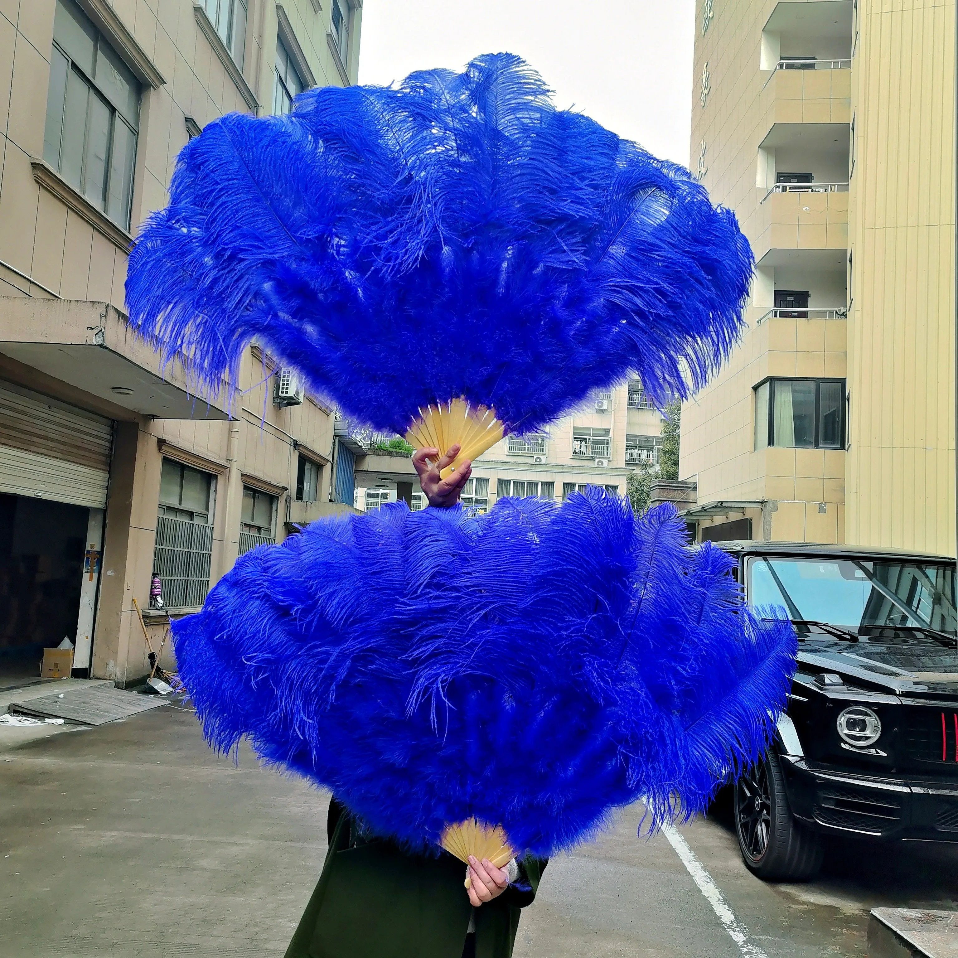 Wholesale 10PC Royal Blue Ostrich Feathers Fans Extra Large for Carnival Belly Dance Magic Show Stage Performance Customized