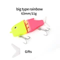 big rainbow