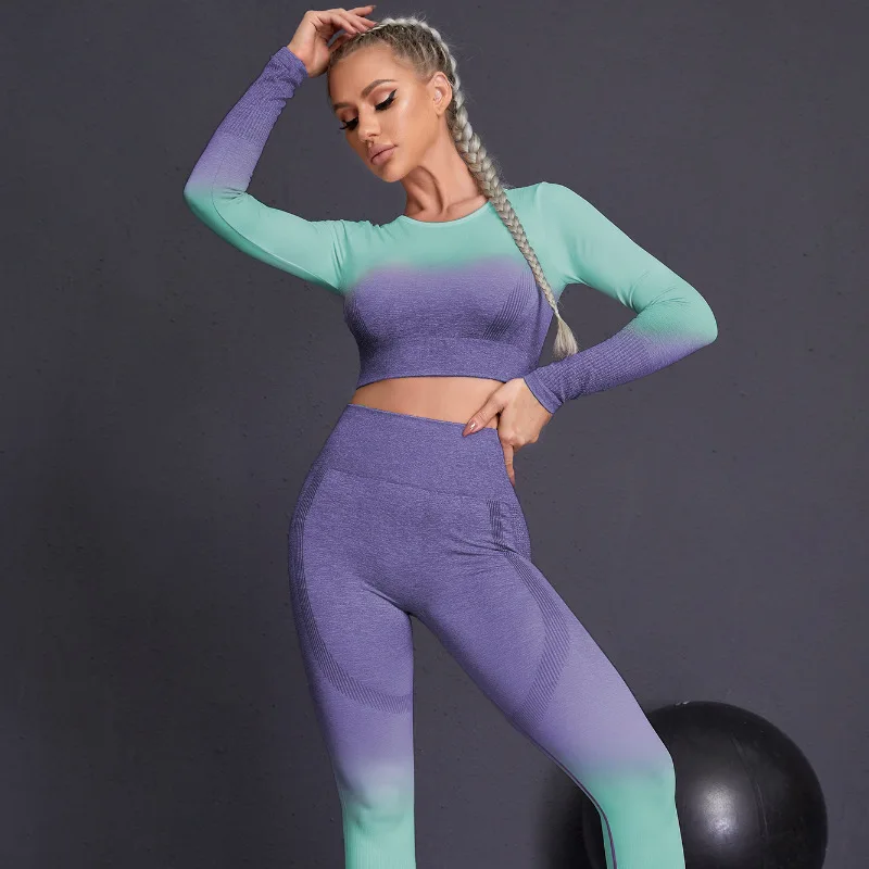 Seamless Yoga Sets Sports Fitnes High Waist Hip Raise Pants Long-Sleeved Suits Workout Clothes Gym Shorts Set for Women