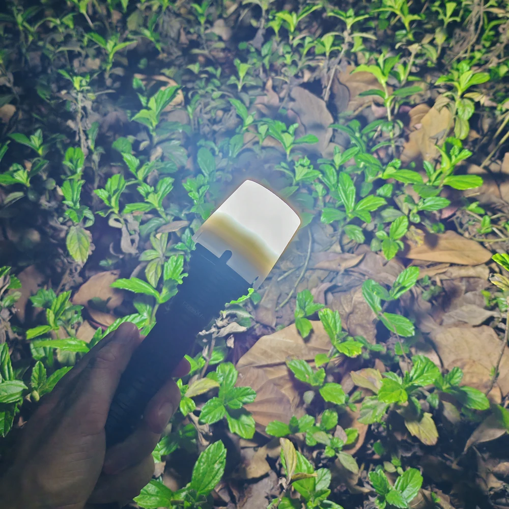 Convoy White Diffuser for C8+ C8 Plus M21A Flashlight Inner Diameter 45mm for Reading Camping
