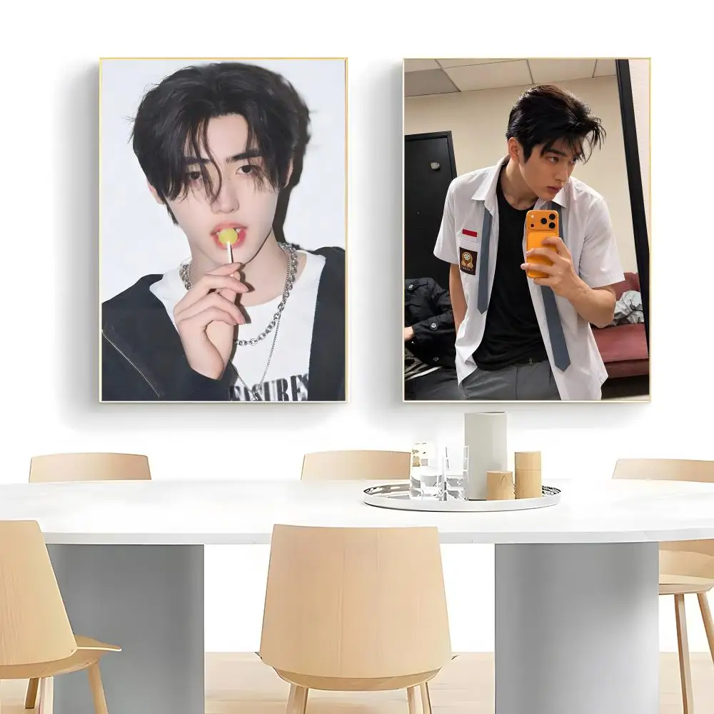 Kpop Idol P-Park S-Sunghoon Poster  Self-adhesive Art Waterproof Paper Sticker Coffee House Bar Room Wall Decor - view 5