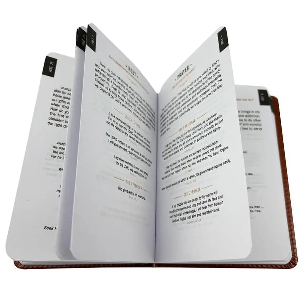Journal de journalisation quotidienne pour hommes, couverture rigide marron, 365 jours, carnet de réflexion quotidienne, carnet portable pour le suivi des pensées