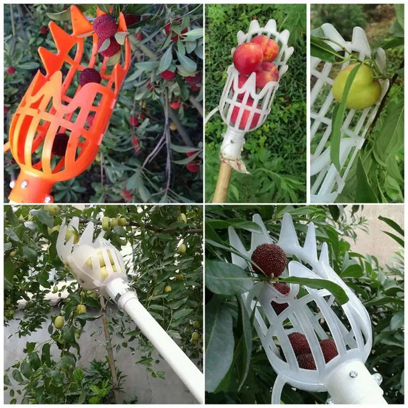 Fruit Picker Fruit Catcher Greenhouse Garden Tools Gardening Fruit Collection Picking Head Tool High Altitude Bayberry Harvester