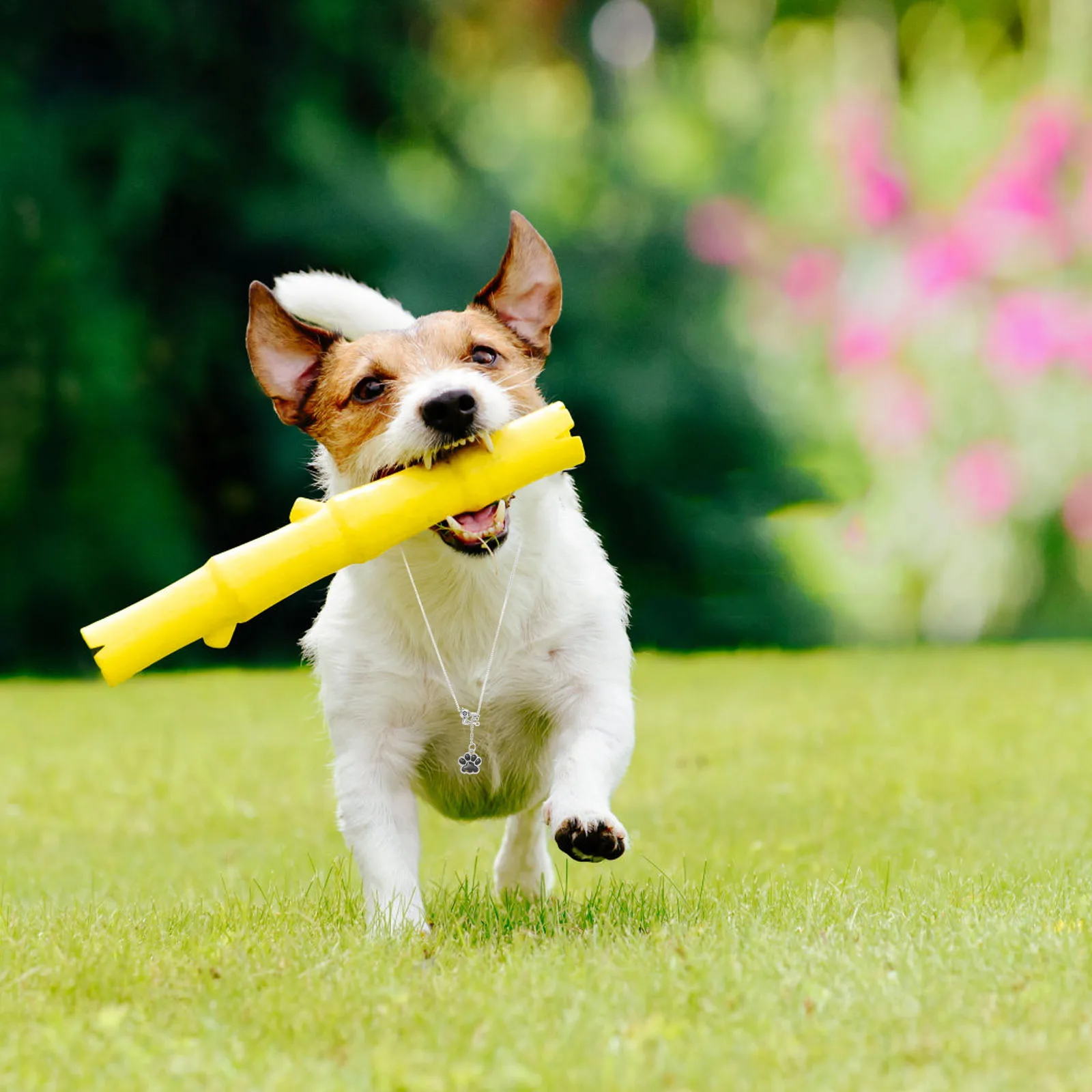 

Chic Alloy Cartoon Dog Necklace Lightweight Pet Pendant Jewelry Easy Decoration Adorable ing Decorative Chain For Dogs Pet