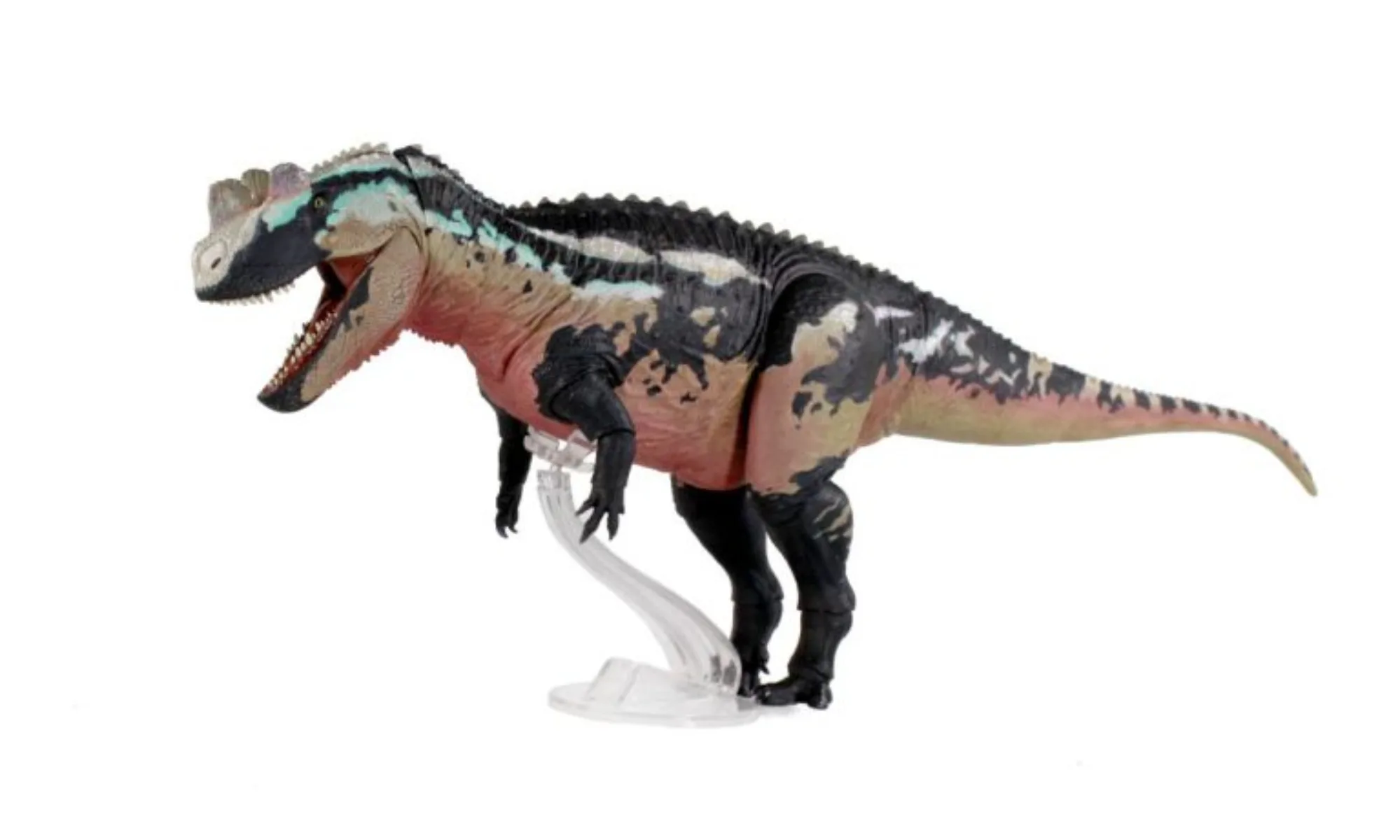 

Beasts of the Mesozoic Studio 1/18th scale Ceratosaurus Dentisulcatus Model Collection Scene Decoration Action Figure Gift