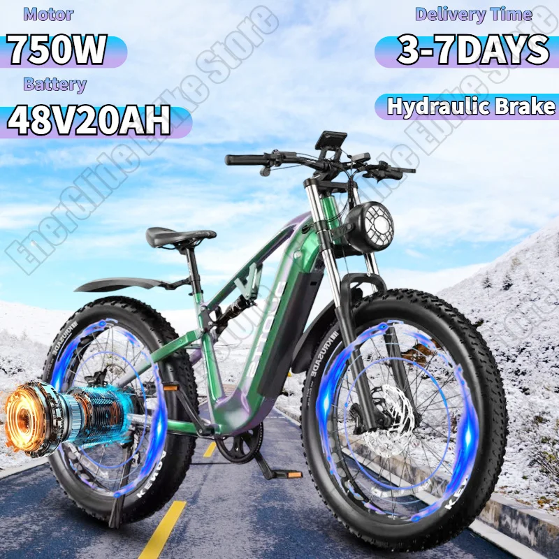 DUOTTS E26 Electric Bike 750W Brushless Motor 48V20AH Lithium Battery Hydraulic Brake Electric Bicycle 26*4.0-In Fat Tire E-bike