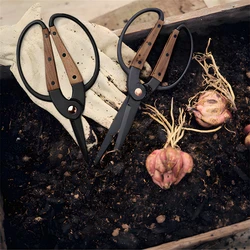 1PC,Professional Grade Root Pruning Scissors Stainless Steel Bonsai Tools Garden Leaf Flowers Household Scissors Hand Scissors