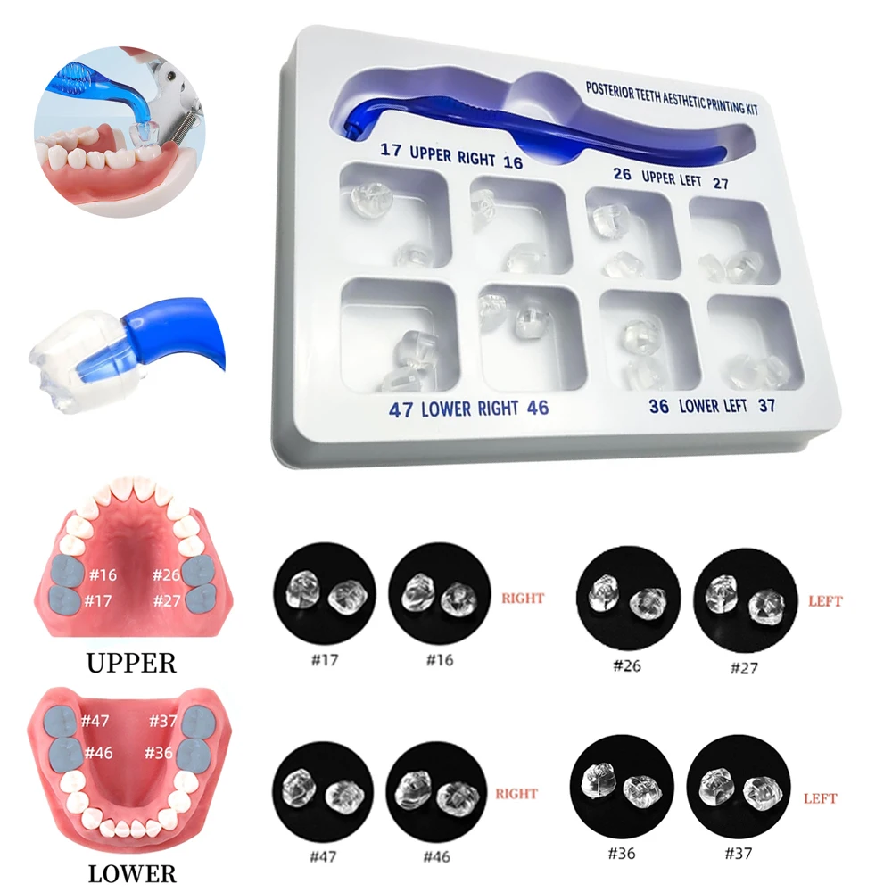 

Dental Posterior Teeth Aesthetic Printing Kit For Light Cure Printing Composite Restoration Filling Mould Tools Dentistry Lab