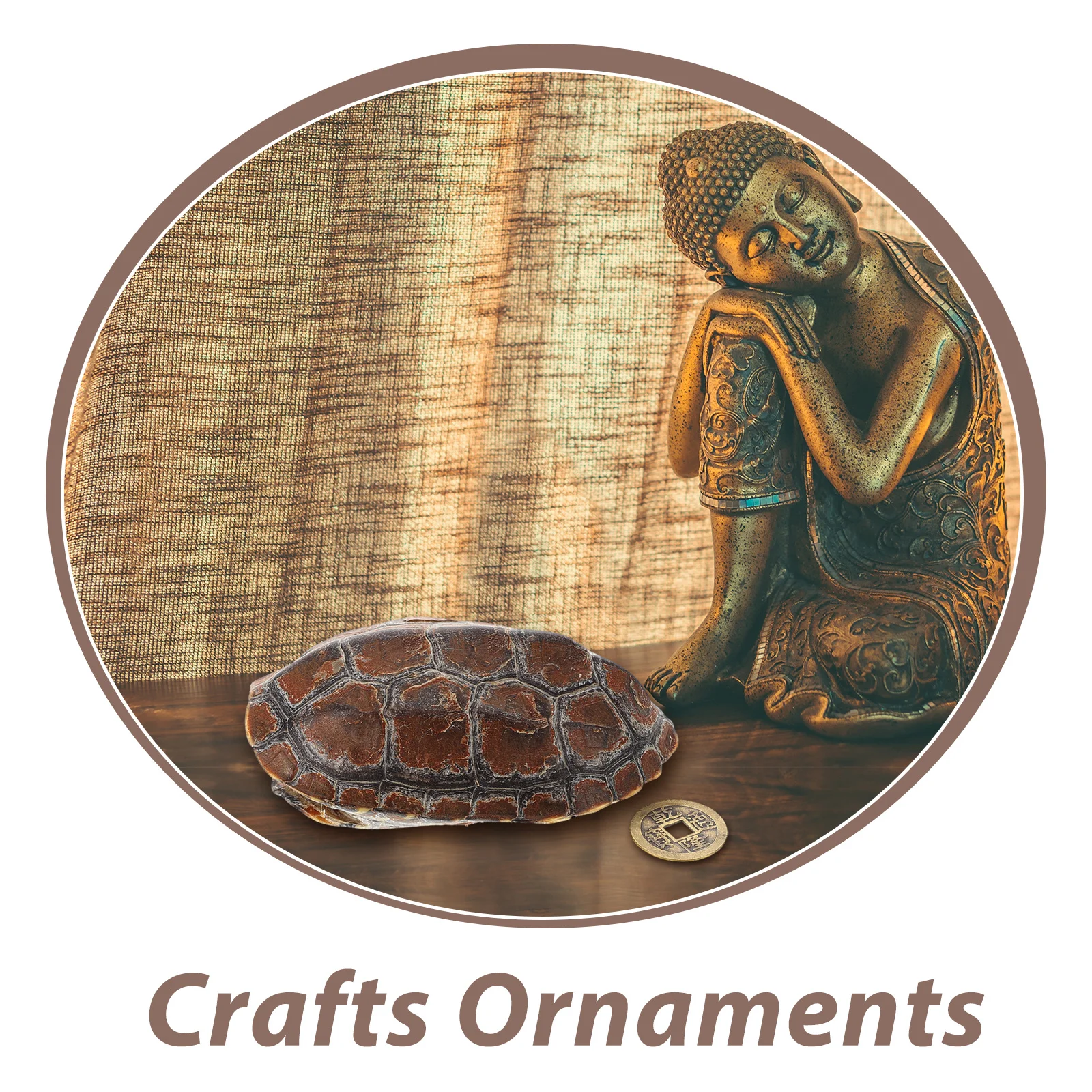 1 مجموعة 1 مجموعة رائعة السلحفاة قذيفة قبضة الحرف الثقافية للعرافة الاسترخاء ديكور مكتب المنزل قذيفة الجمالية الصينية #5