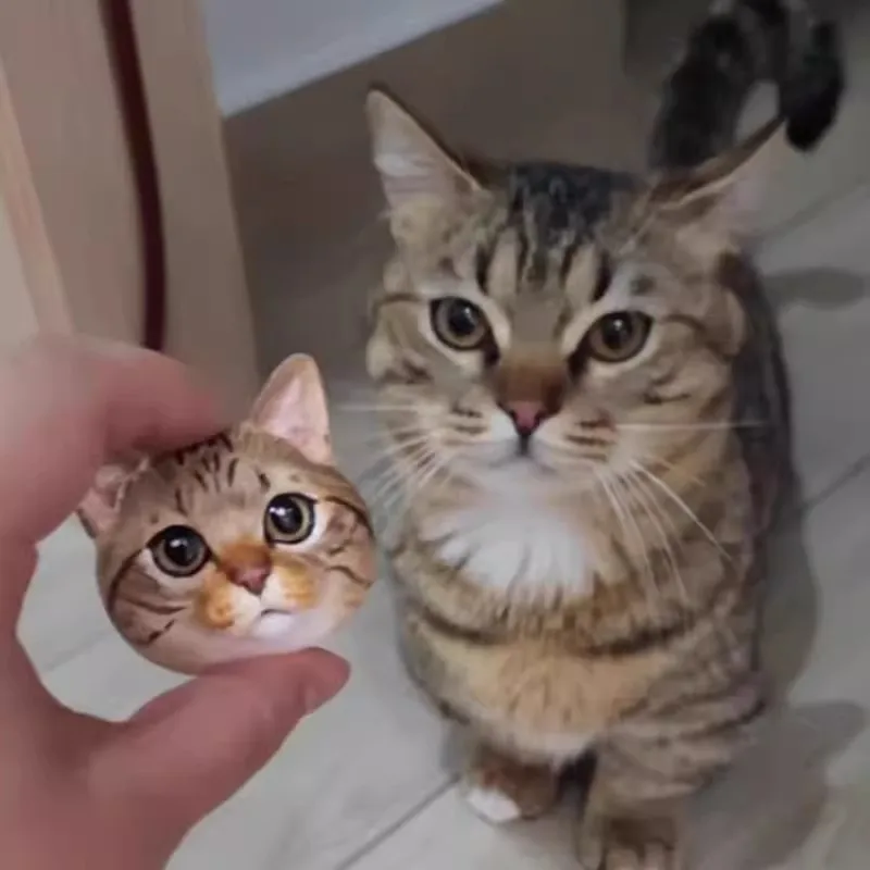3D Dimensional Pet Cat Portrait Pet Customized Refrigerator Magnet Car Aromatherapy Cat And Dog Memorial Plaster Portrait Gift