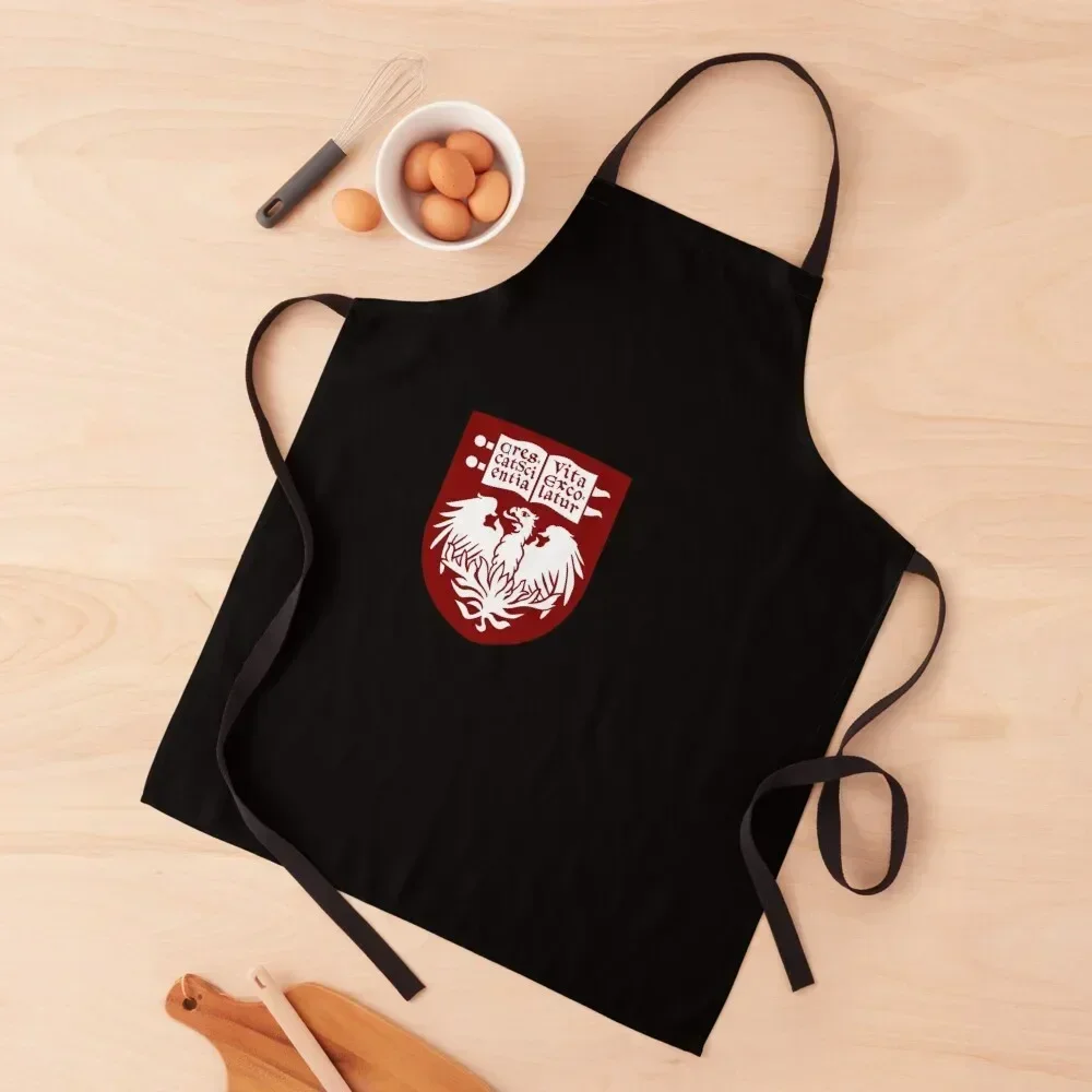 University of Chicago Apron chef costume Cute Kitchen Accessories work ladies Kitchen Women Apron